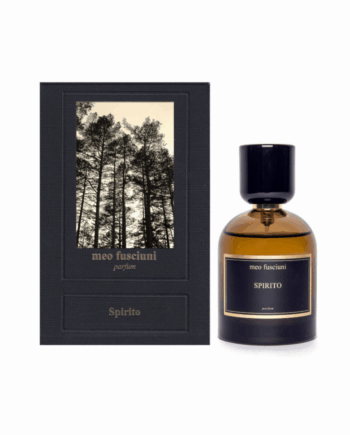 meo fusciuni SPIRITO