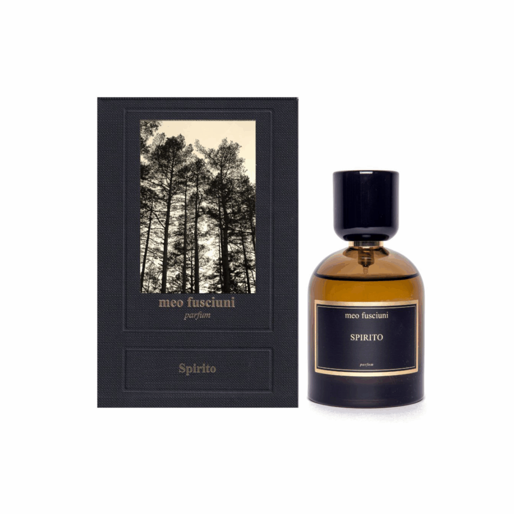 meo fusciuni SPIRITO