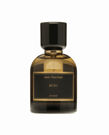 meo fusciuni – Buio